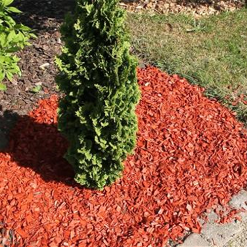 Mulch - Einsatz im Garten