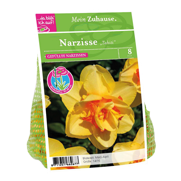 Blumenzwiebel Narzisse 'Tahiti'