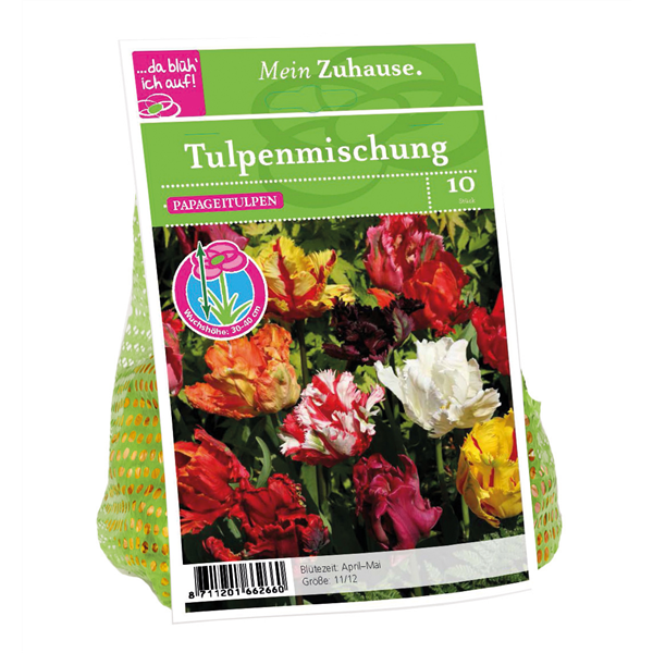 Blumenzwiebel Tulpe Papageien Mischung