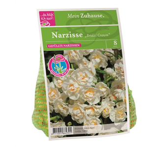 Blumenzwiebel Narzisse 'Bridal Crown'