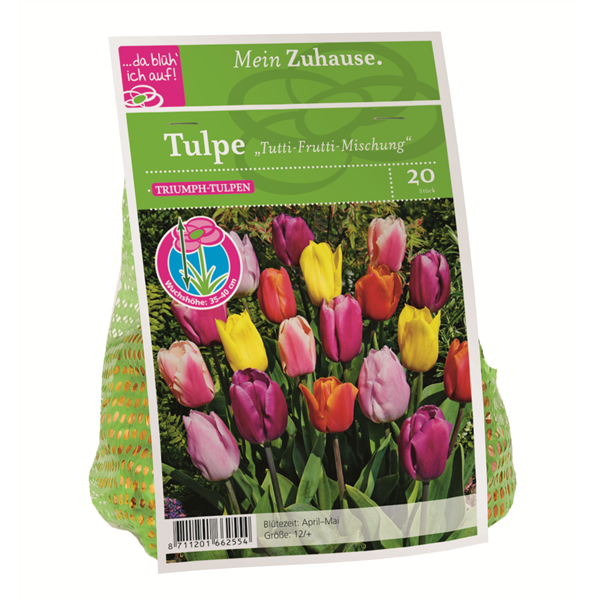 Blumenzwiebel Tulpe Tutti Frutti Mischung